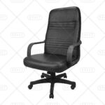 كرسي مدير جلد